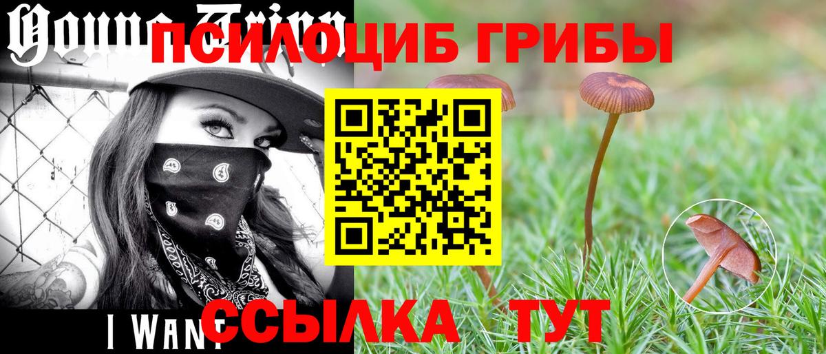 Зеленодольск  Псилоцибиновые грибы мицелий  где можно купить   Вход с VPN 